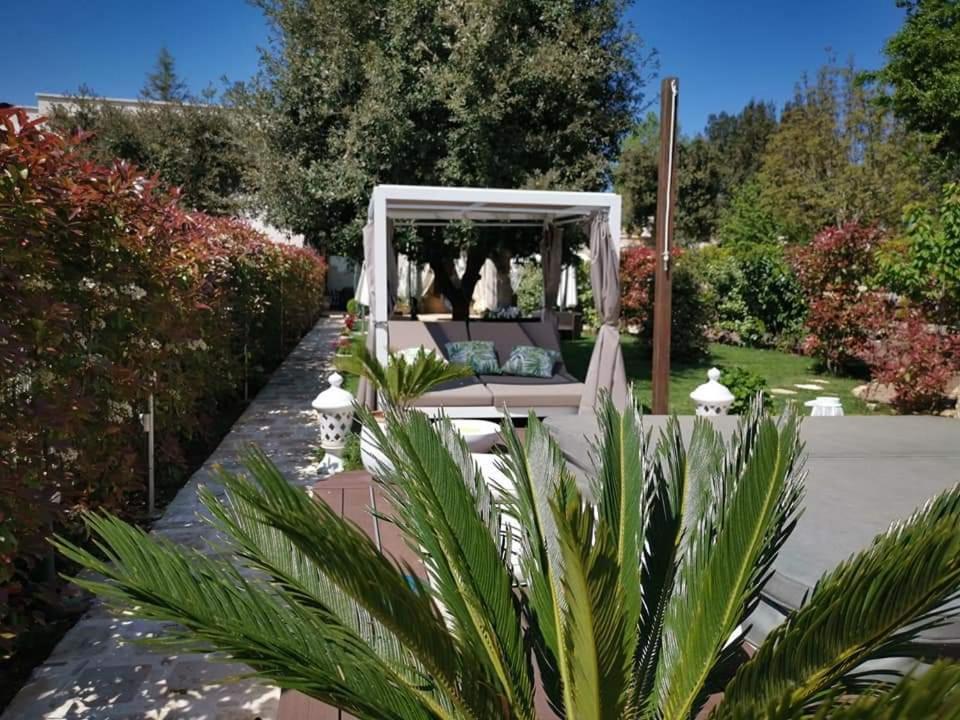 Apulia Dream B&B Le Lamie di Olimpe Luaran gambar